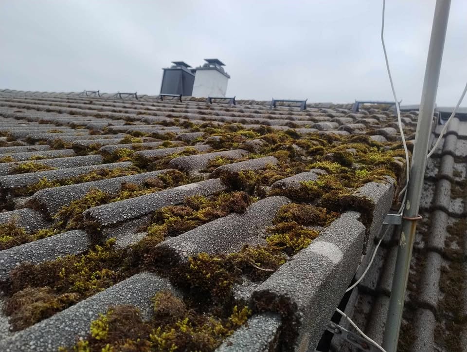 Istapper og snø: taket ditt er varmt der det skal være kaldt